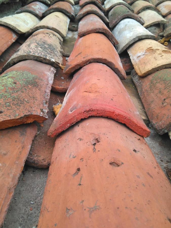 Albergue Armaia Artepea Urzainqui Eksteriør bilde